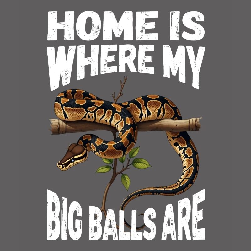 Python roi Serpents Amateurs de terrarium Python