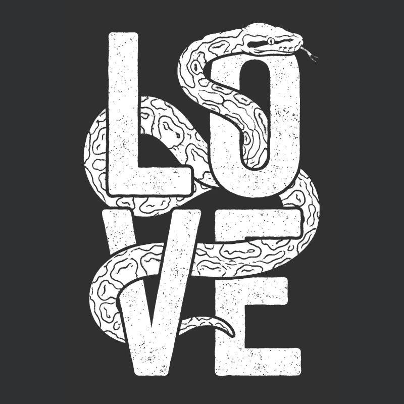 Les serpents rois Python ADORENT les pythons de terrarium