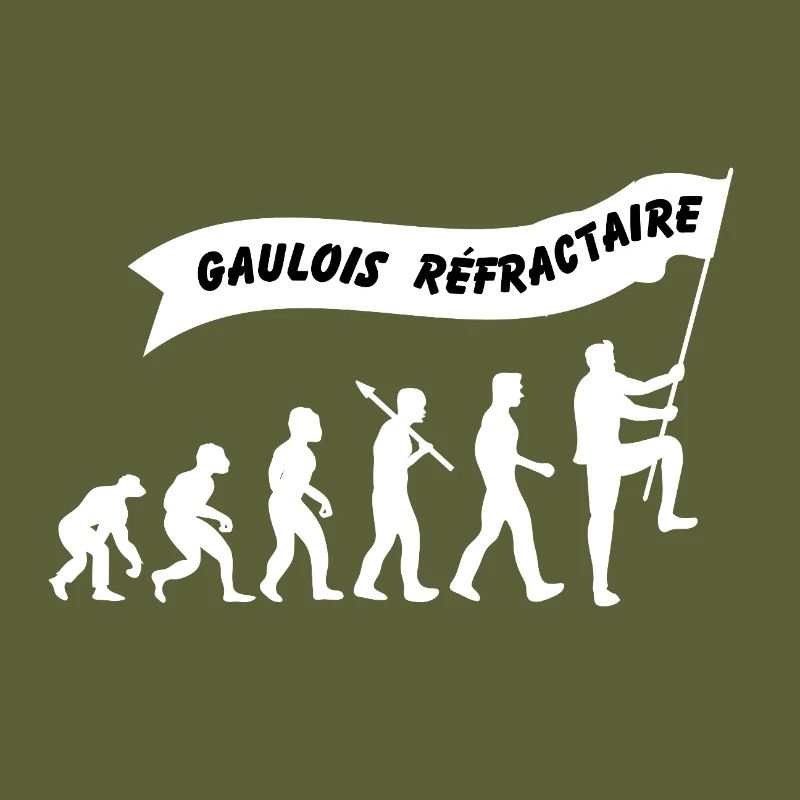 Evolution du gaulois réfractaire