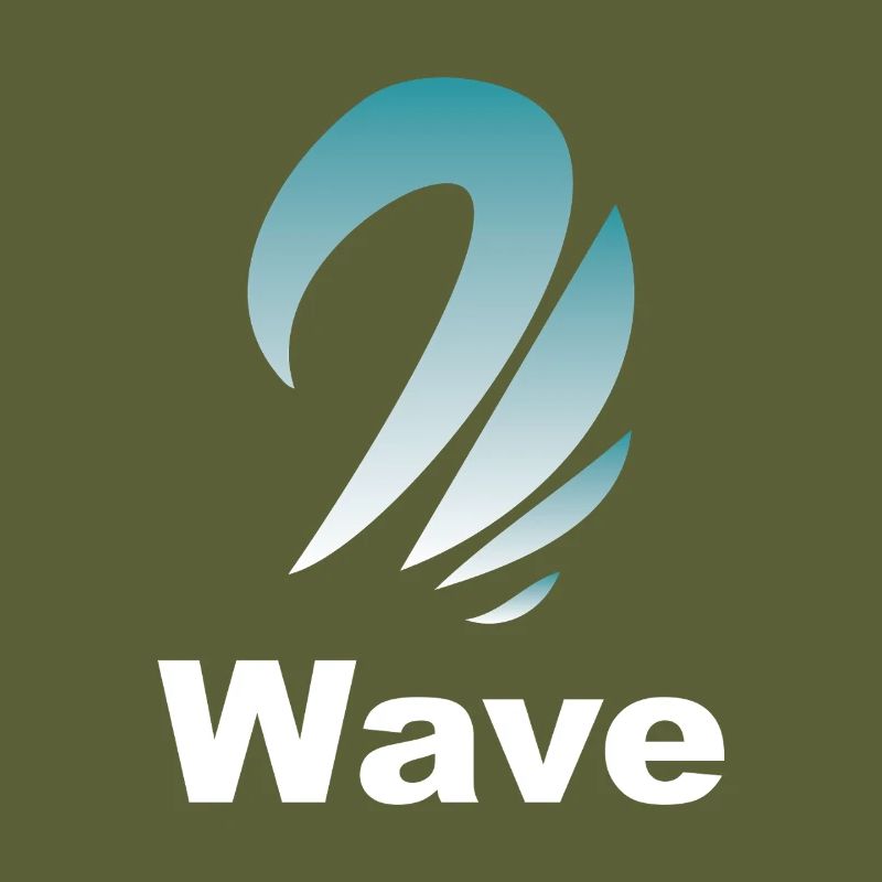 Wave Gradient Logo Design