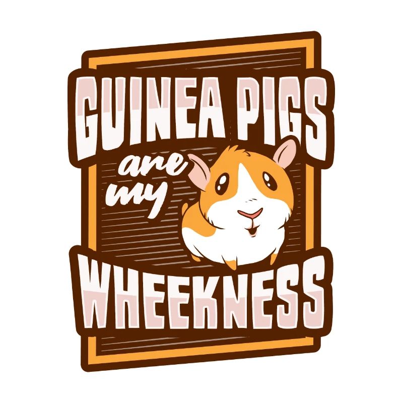 Cochon d’Inde Wheek Amateurs de cochon d’Inde