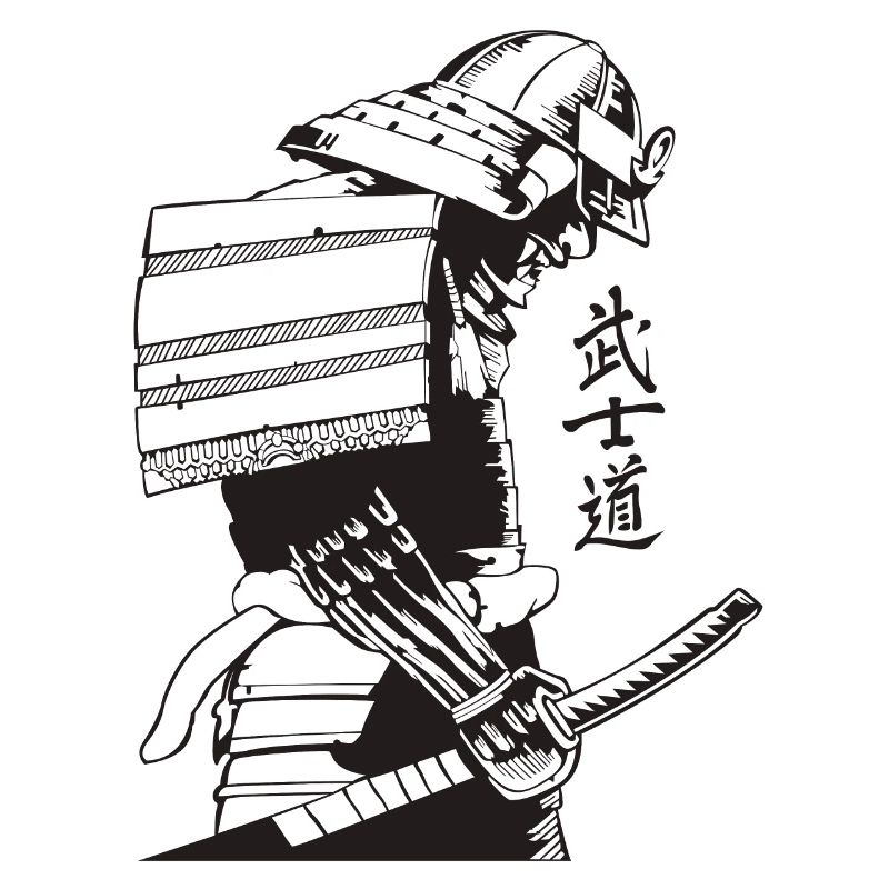 Samurai Warrior Washed, Rétro