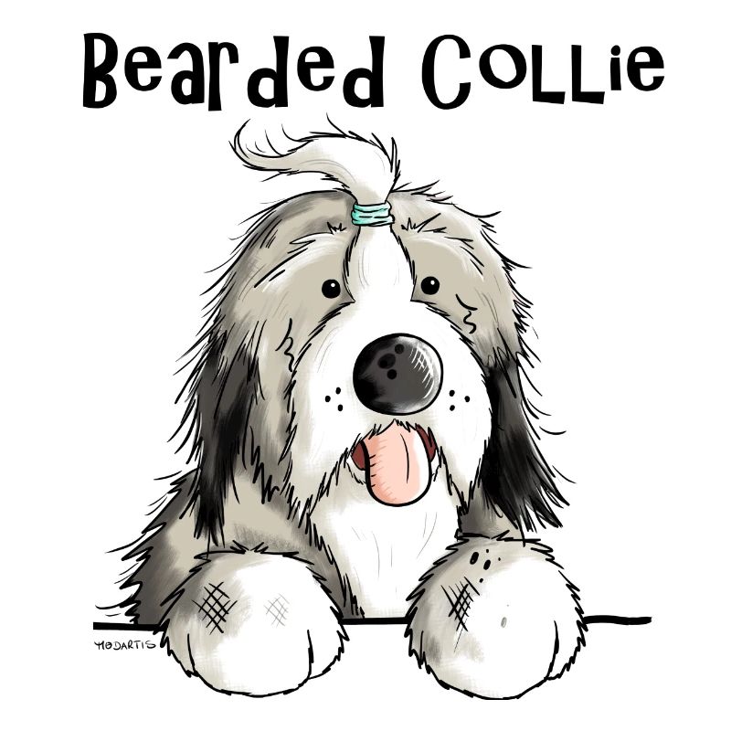Mignon Bearded Collie