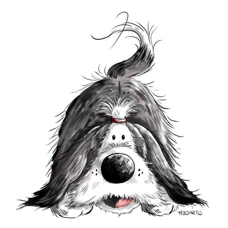 Bearded Collie