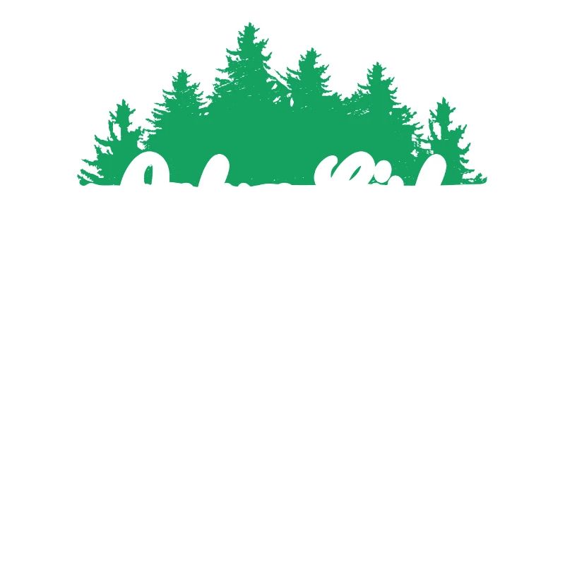 Forest Adventure Mountains Trees Nature Conservation
