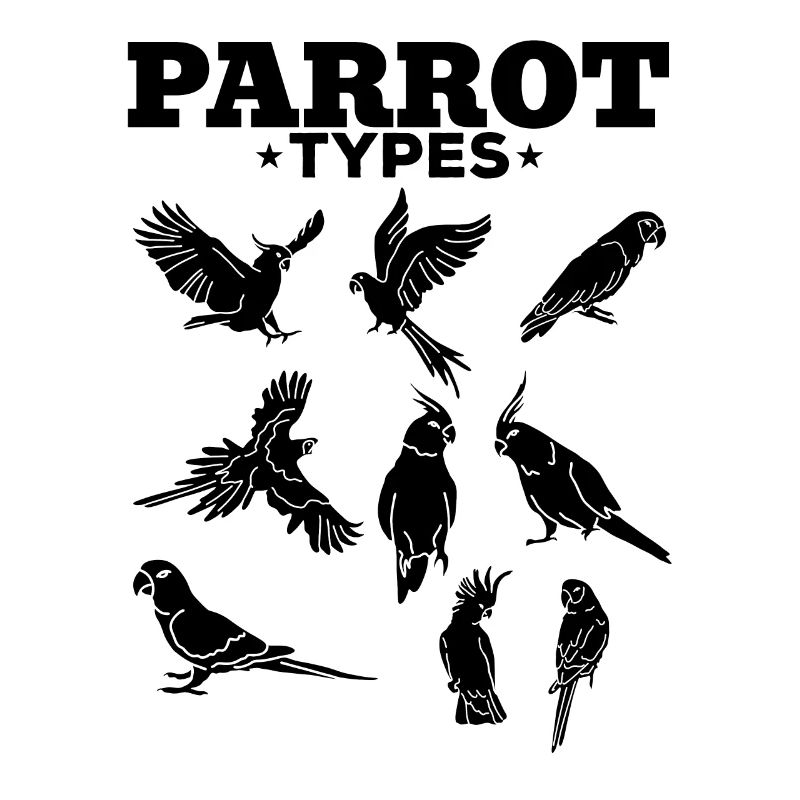 Types de perroquets Perroquets Perruches Aras