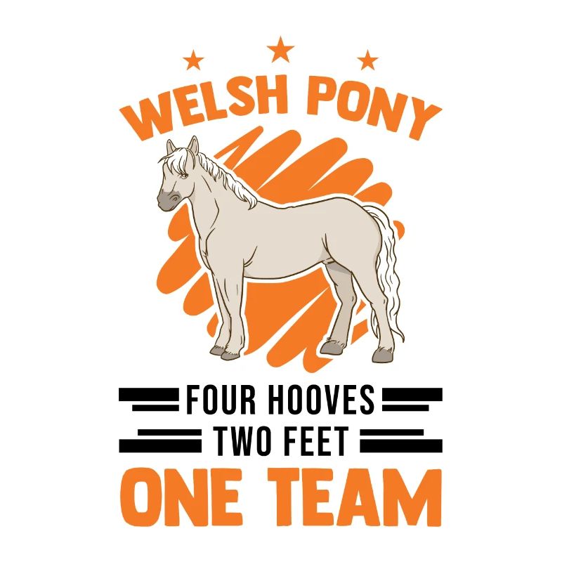 Welsh Pony 4 sabots 2 pattes Une équipe
