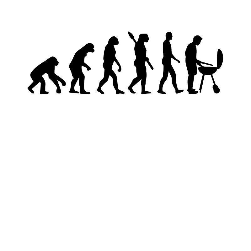 BBQ Grill EVOLUTION GRILL