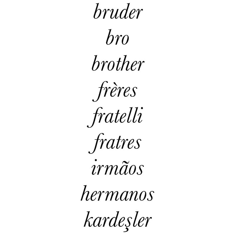 Frère dans différentes langues