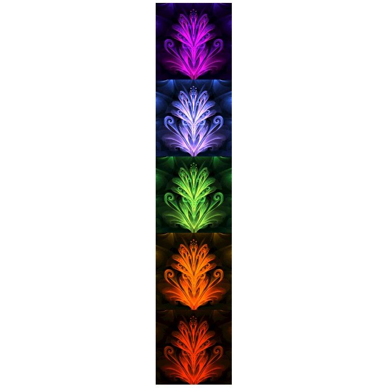 Nightflower Monkeyface