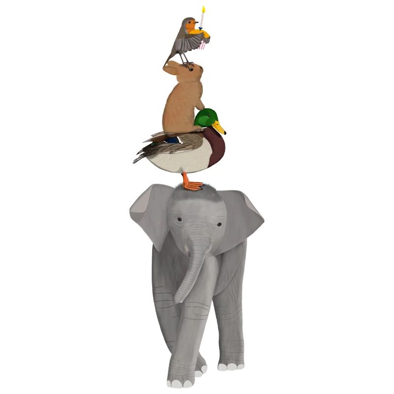Elephant Duck Rabbit Robin Funny Animals
