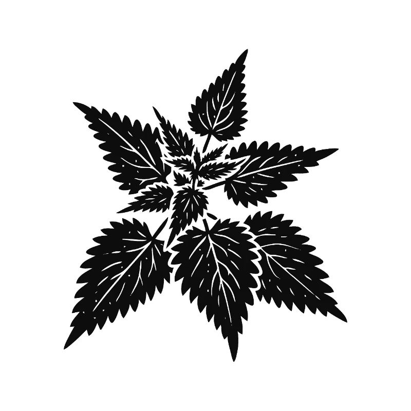 simple nettle design – wild & healing
