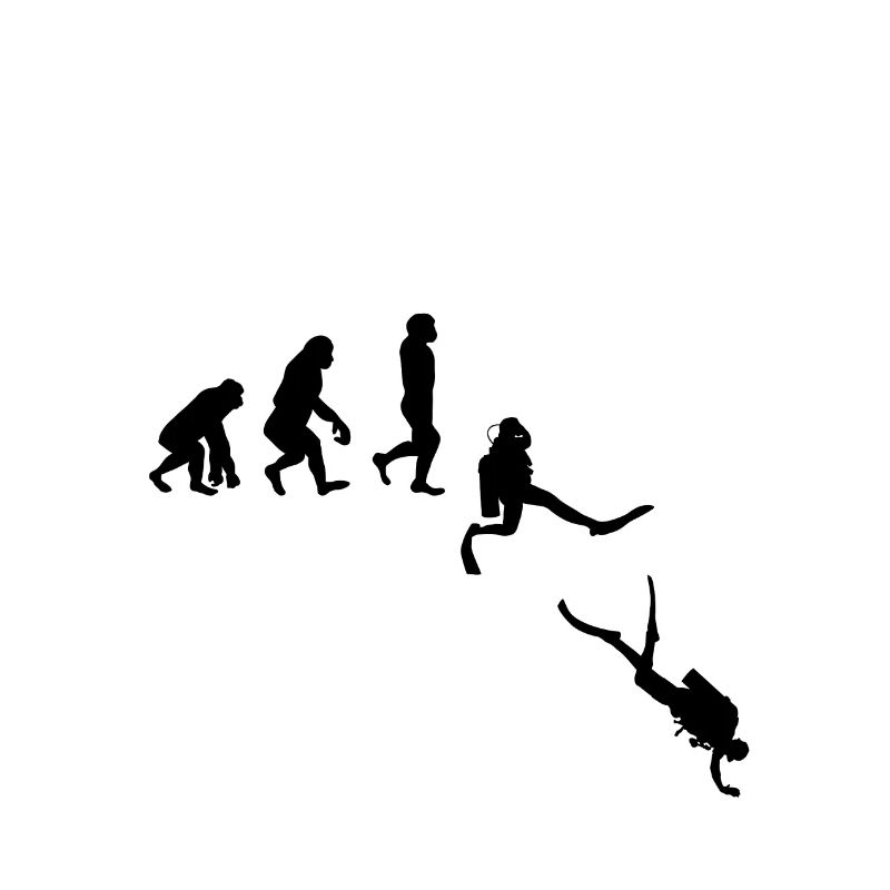 Evolution Tauchen Taucher