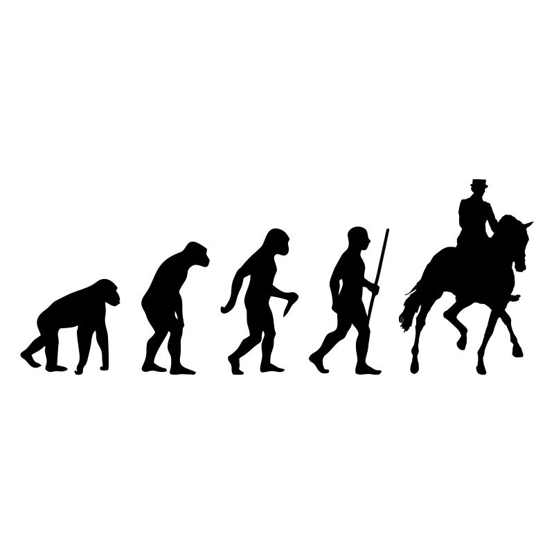 Cavalier de dressage Evolution