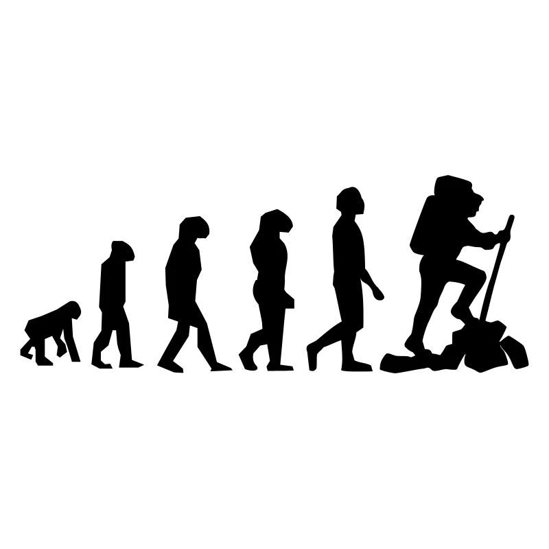 Évolution du vagabond