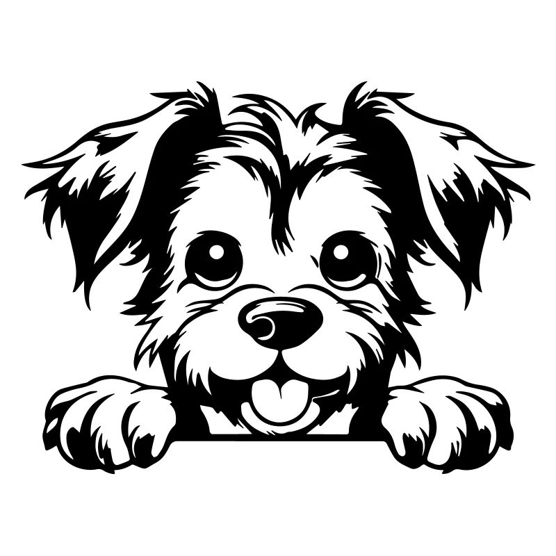 Terrier