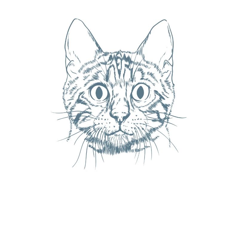 Bengal Cat Race de chat domestique