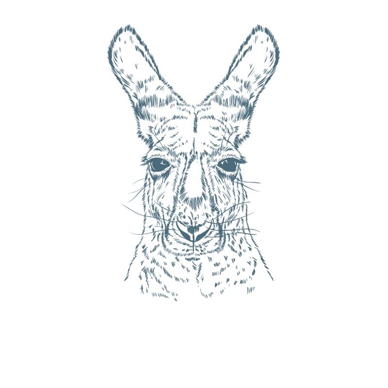 Känguru Australien Outback Beuteltier