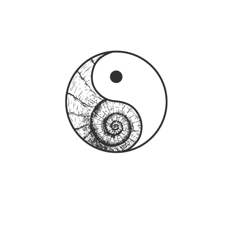 Coquillage Yin et Yang signe