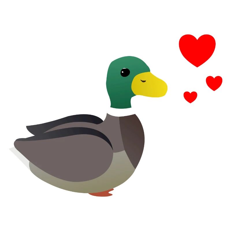 Duck Valentine's Day