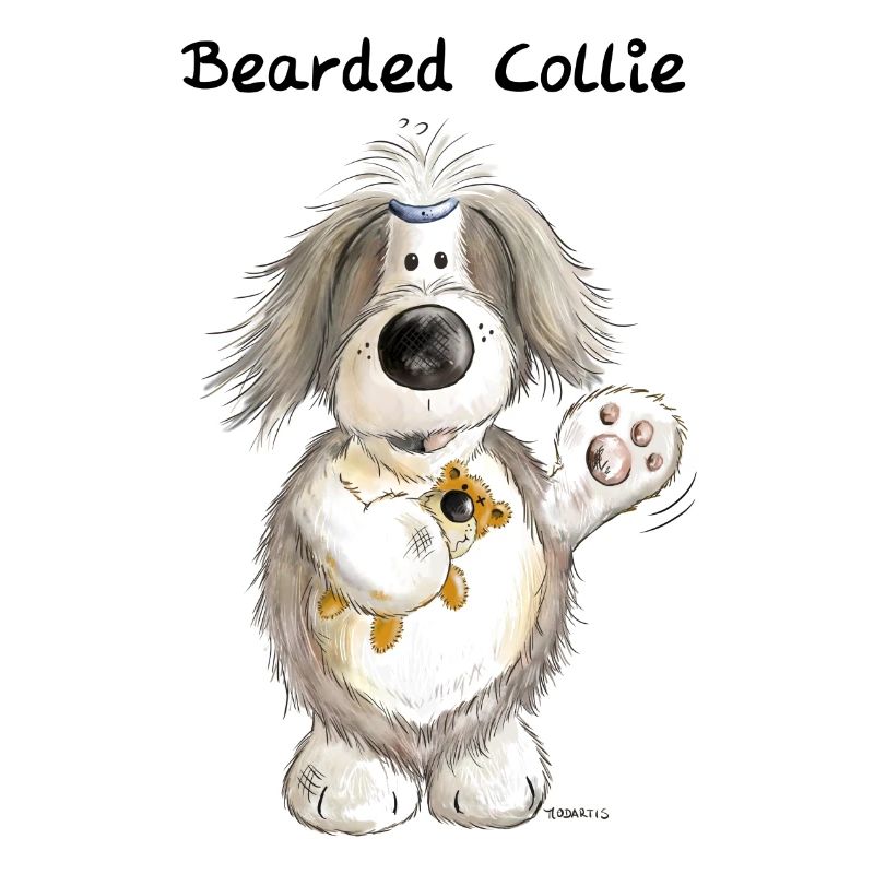 Bearded Collie mit Teddy