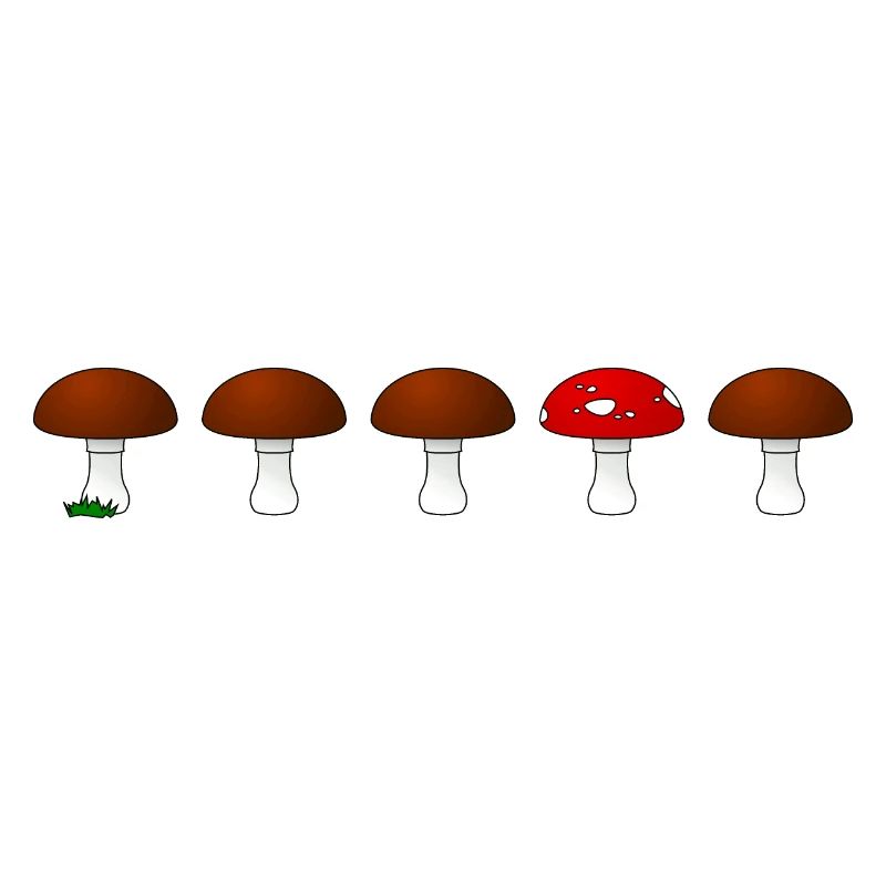 Mushroom fly agaric series