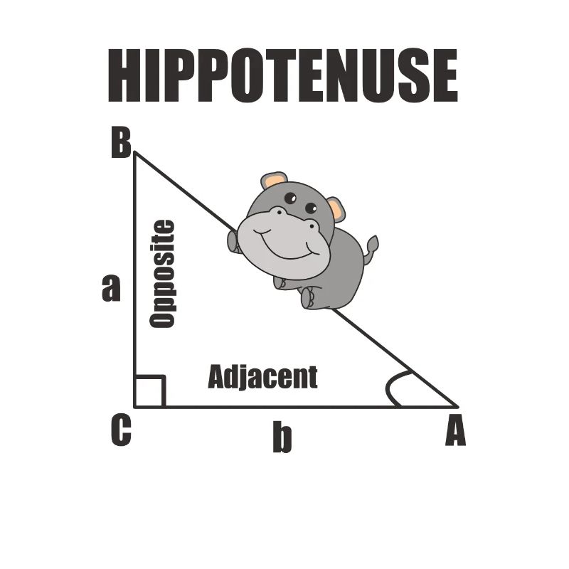 Nerd Geometry Hippotenuse Hypotenuse Math