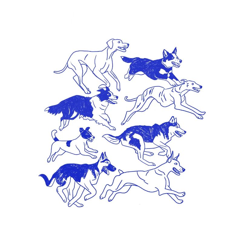 Pack Silhouette Dynamique de Chien