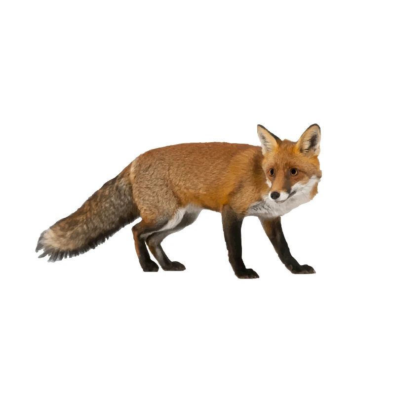 Fuchs