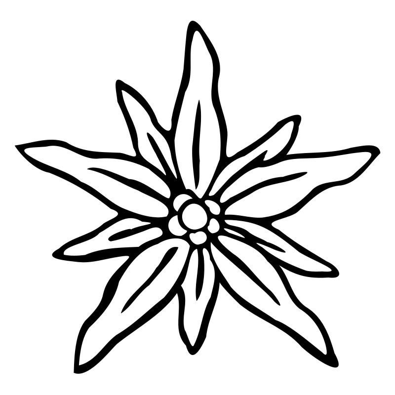 Edelweiss