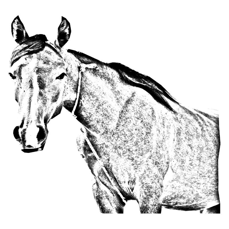 cheval
