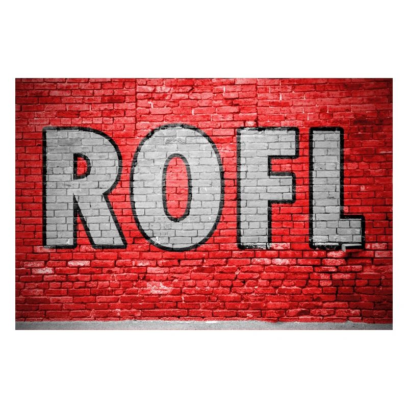 ROFL Brick Wall Graffiti