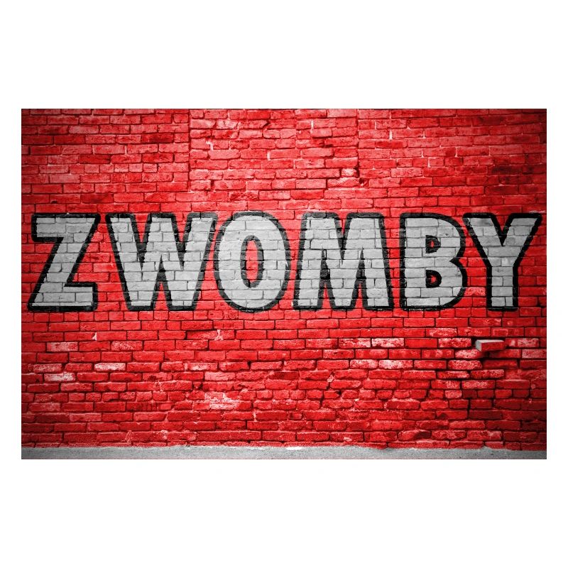 Graffiti mural de briques de Zwomby
