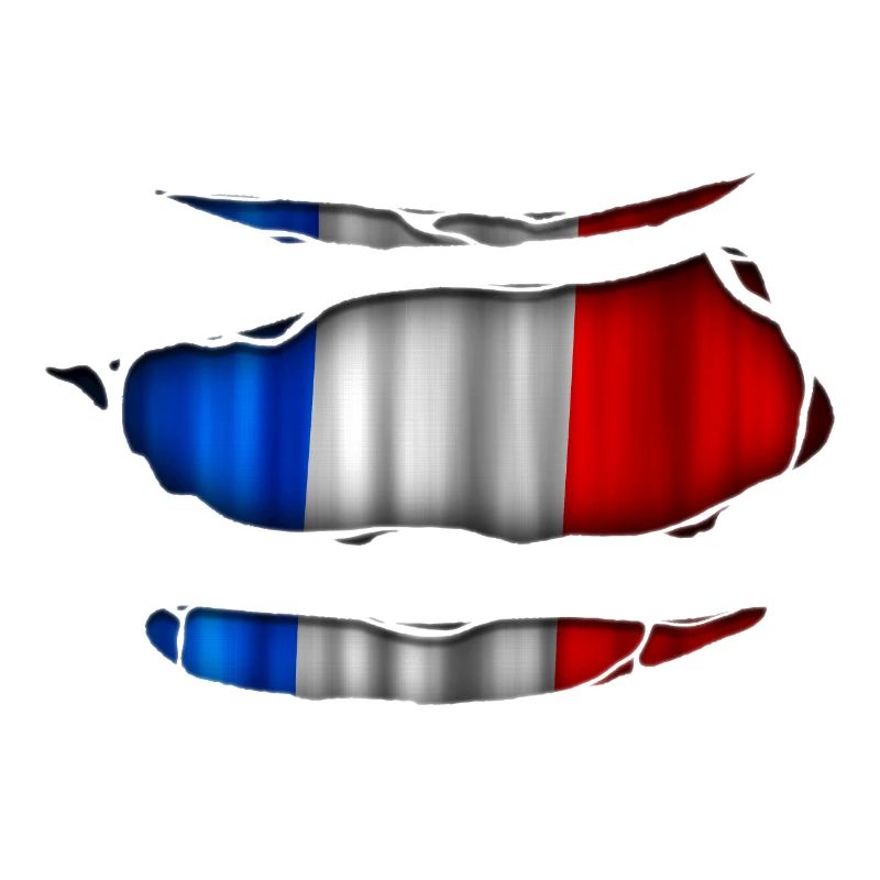 Frankreich Flagge Aufgerissen 017