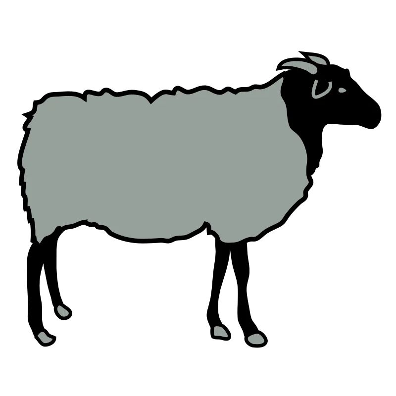 sheep