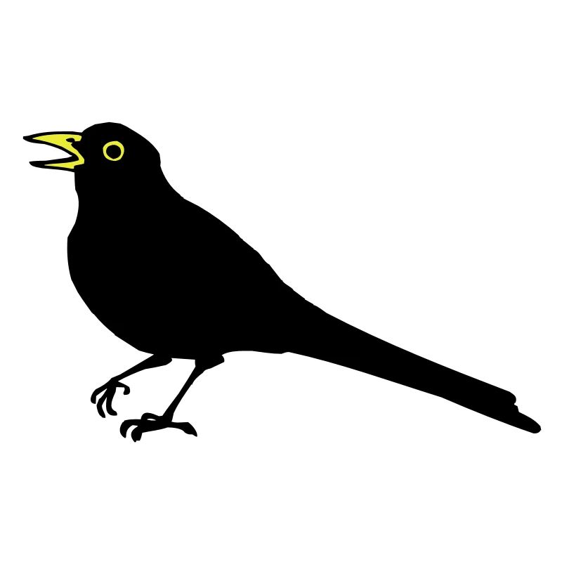 Blackbird