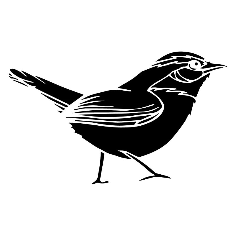 bird