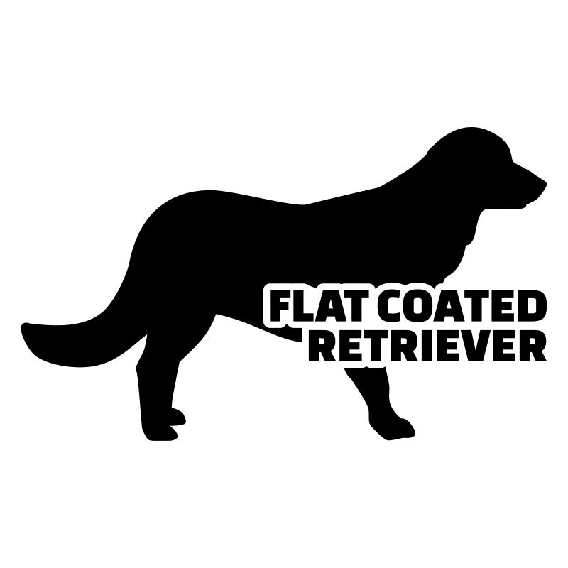 Flat Coated Retriever