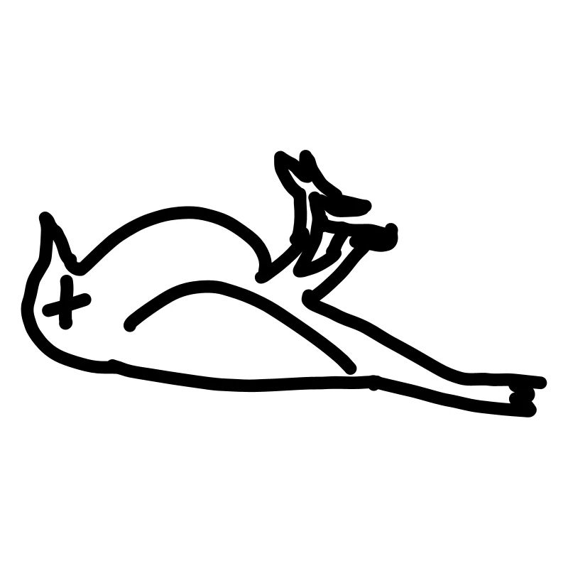 dead bird