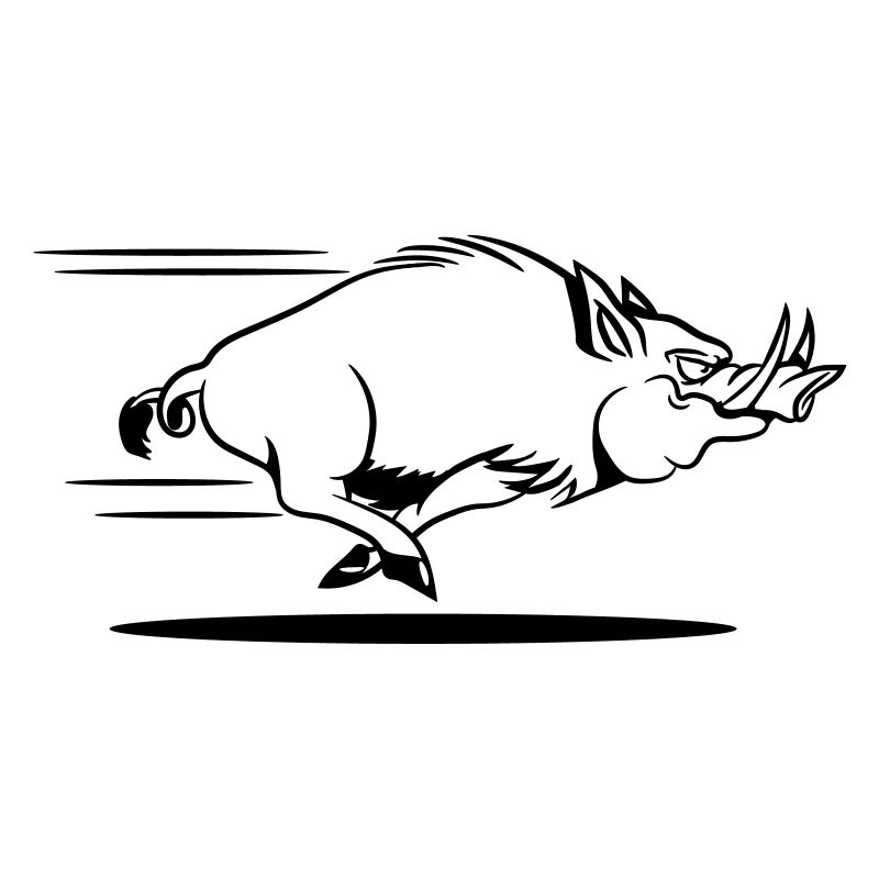 sanglier courant drôle
