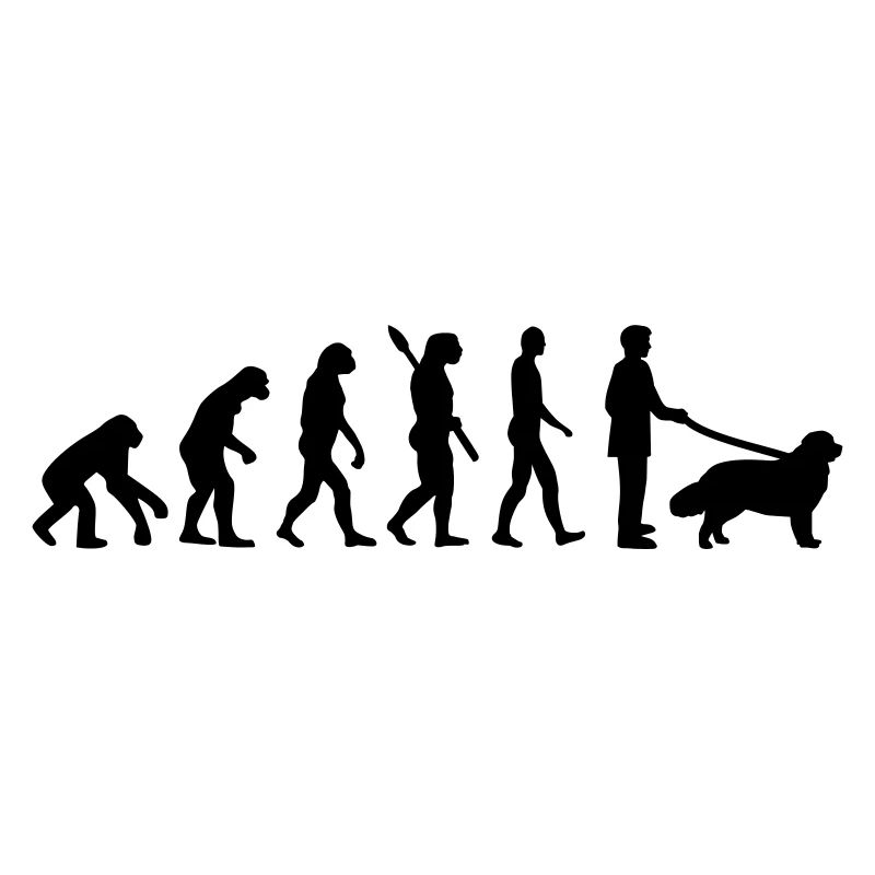 Evolution Newfoundland