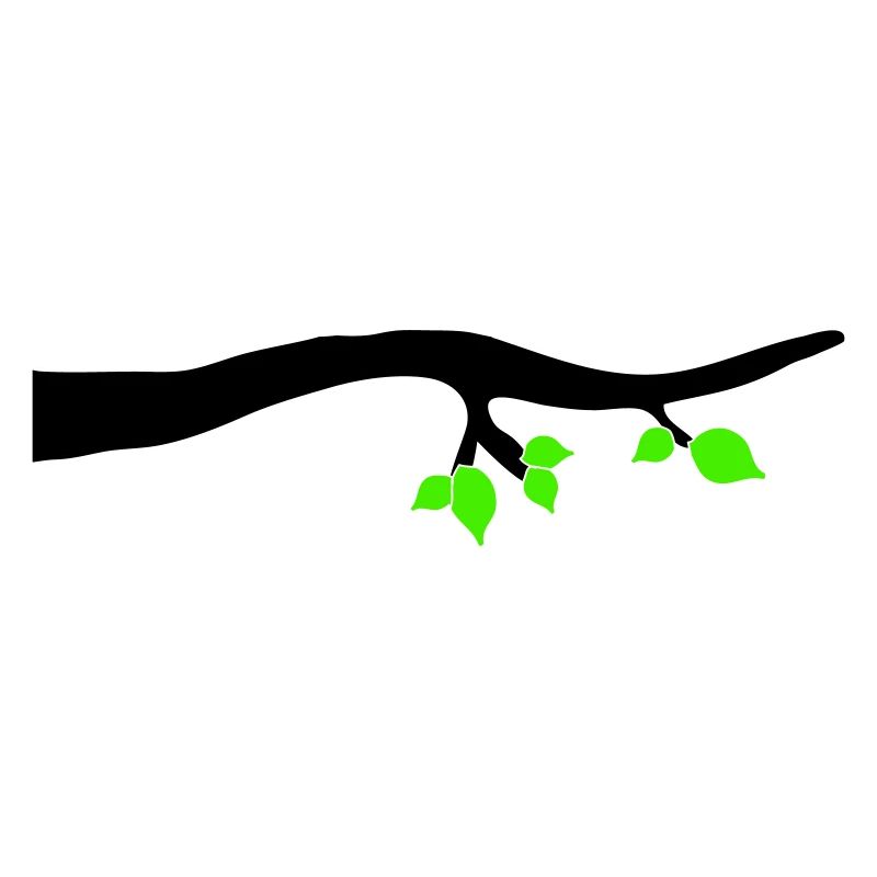 ast 1