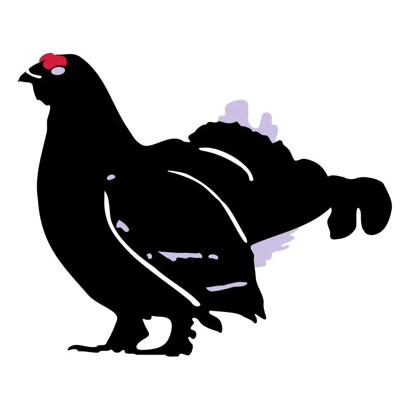 Birkhahn