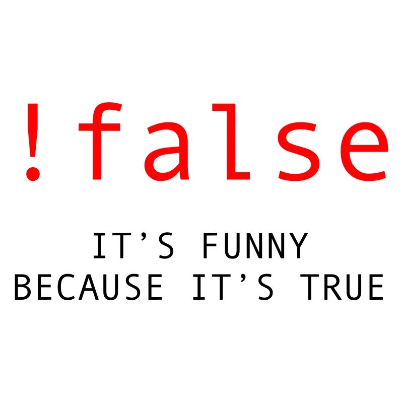 !False - It's Funny Because It's True - Programmer