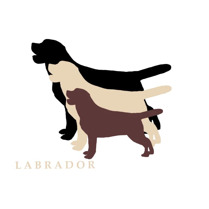 Labrador