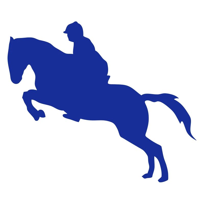 equitation cavalier obstacle cheval saut
