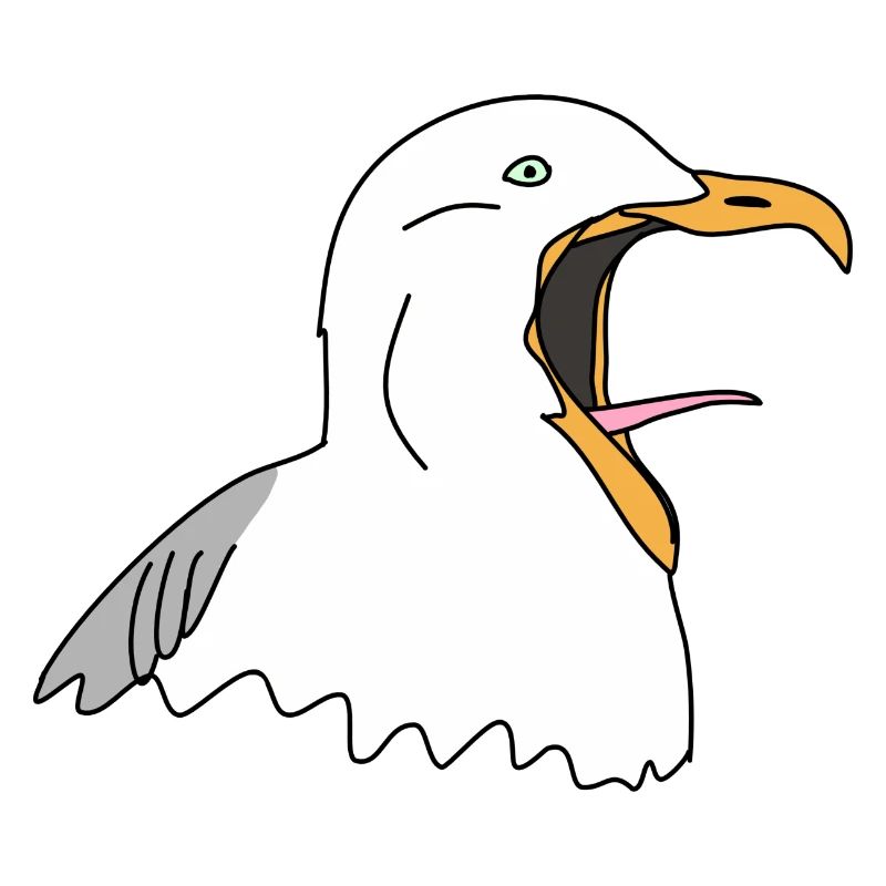 Möwe schreit