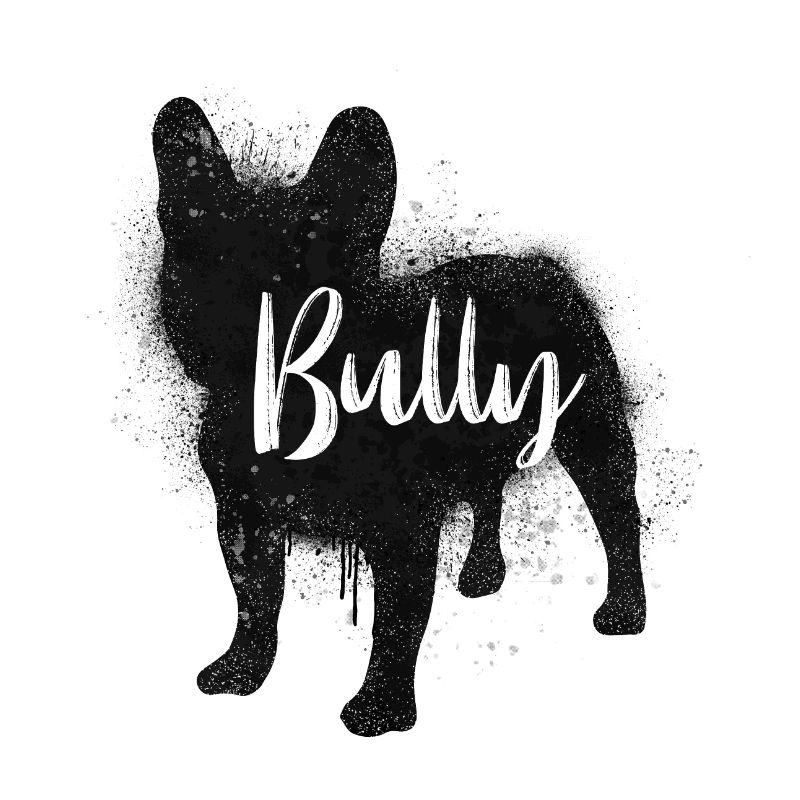 Bully schwarz