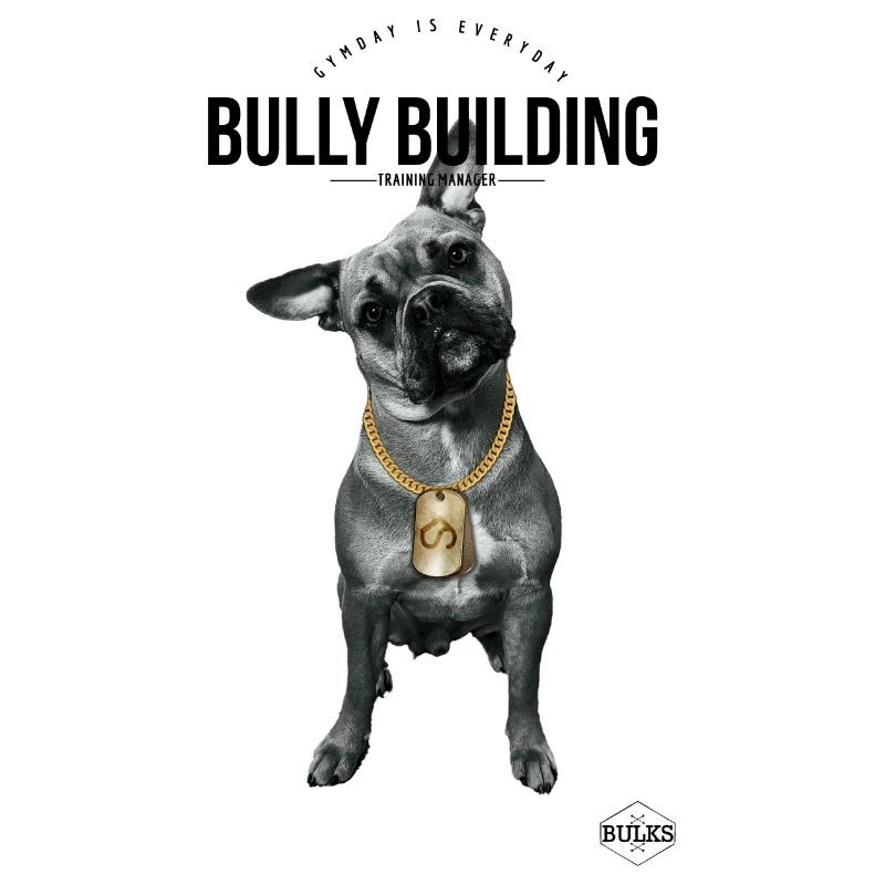 Budynek Bully