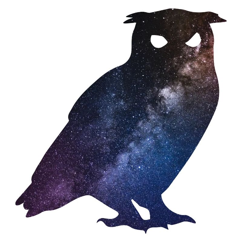 Chouette de l'espace